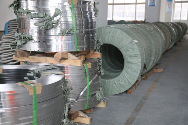 stainless steel strips