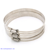 Galvanized hydraulic industrial Hose Clamp