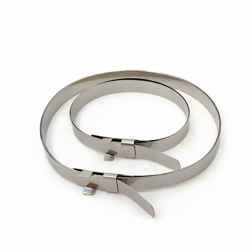 Detailed View of CV Joint Clamp