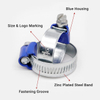 British Type Hose Clamp Structure Display